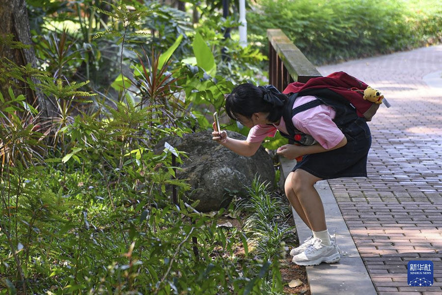足不出戶 跟隨攝影鏡頭看各地假日游園