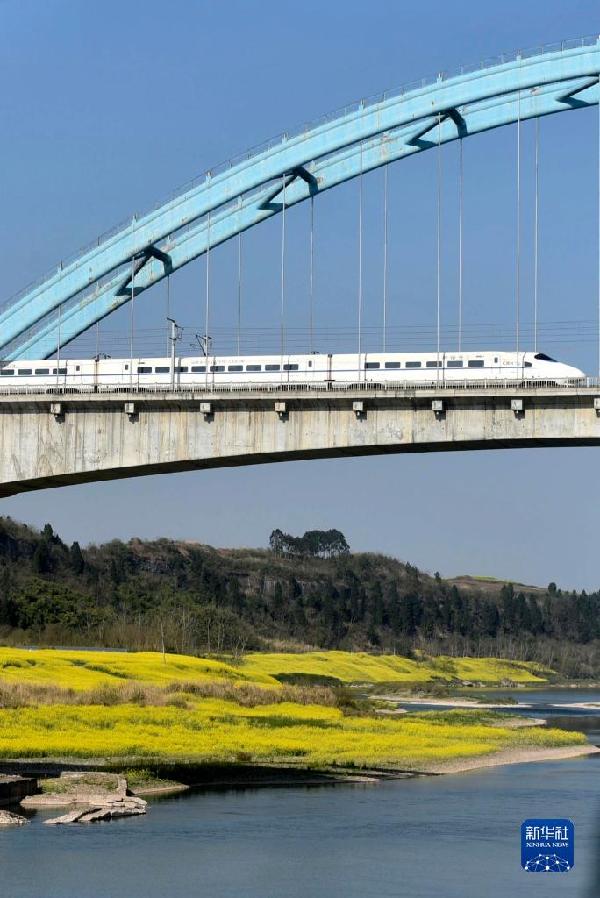 穿越花海的列車