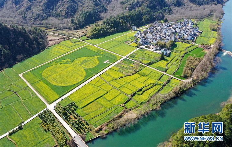 “葫蘆”花海秀春光