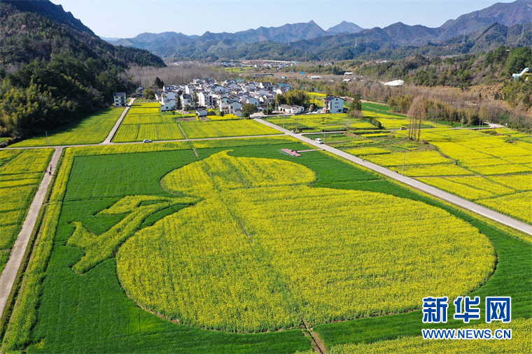 “葫蘆”花海秀春光
