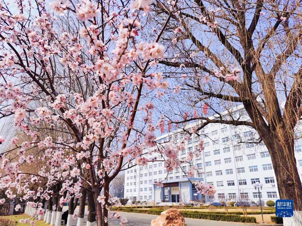 疫情下，讓我們 “云”賞校園春光