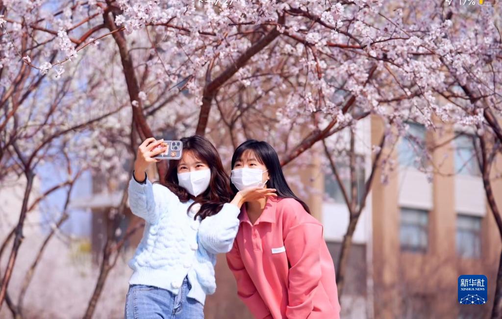 疫情下，讓我們 “云”賞校園春光