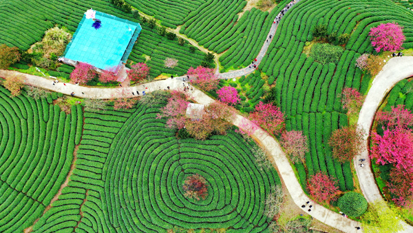 2022年旺旺杯“春節(jié)七天樂”新聞攝影征集活動定評會舉行