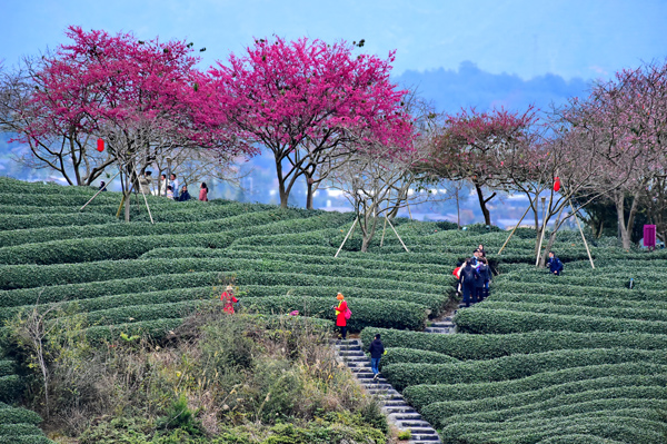 2022年旺旺杯“春節(jié)七天樂”新聞攝影征集活動定評會舉行