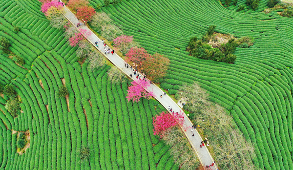 2022年旺旺杯“春節(jié)七天樂”新聞攝影征集活動定評會舉行