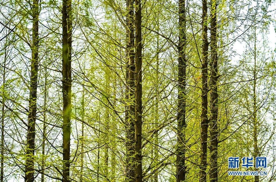 【光影輕課堂】如何運(yùn)用線條增加攝影美感？