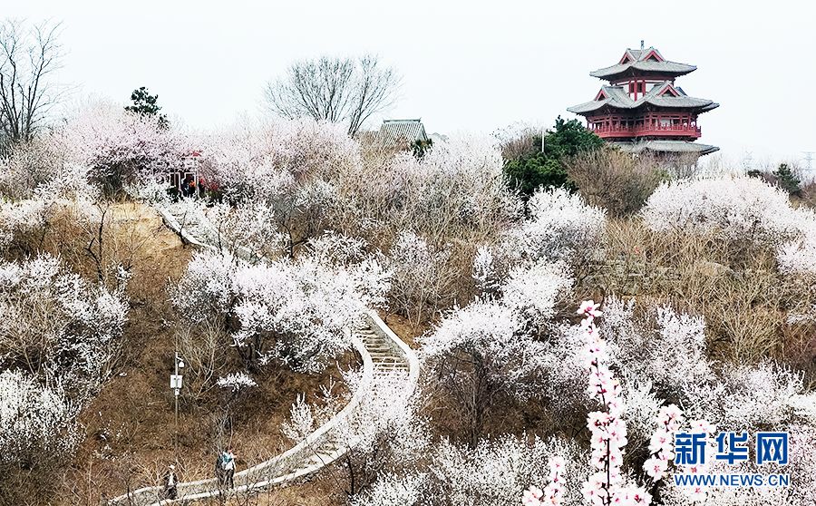 【光影輕課堂】如何運(yùn)用線條增加攝影美感？