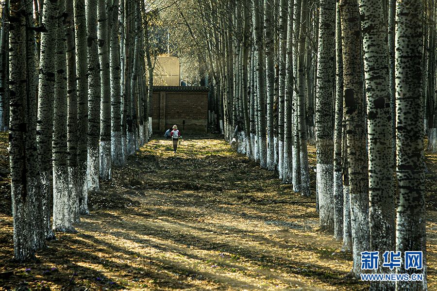 【光影輕課堂】如何運(yùn)用線條增加攝影美感？