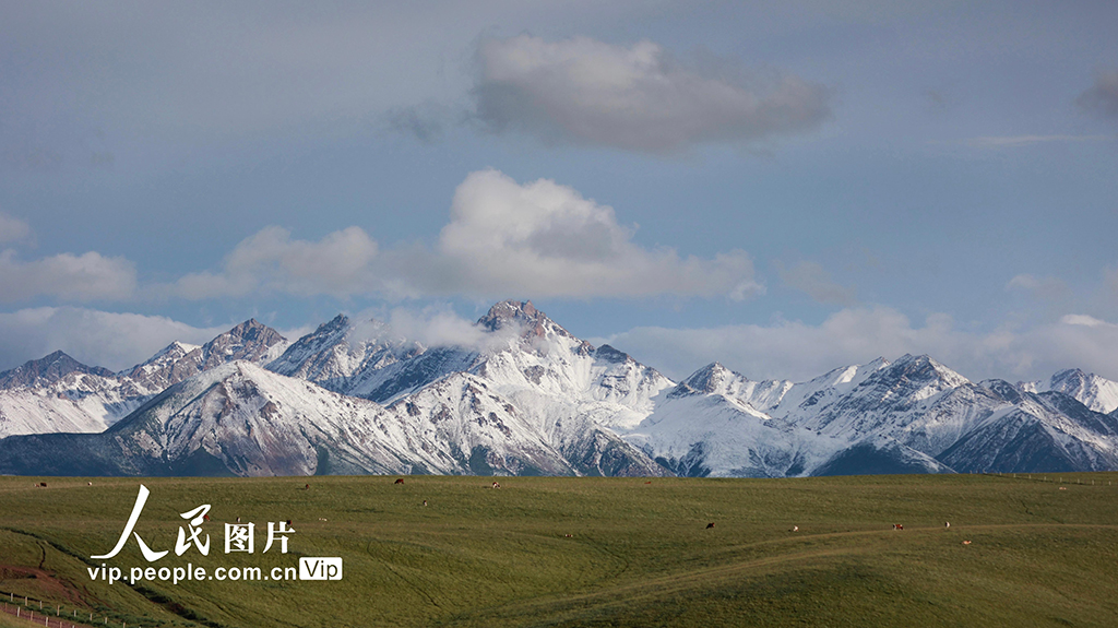 甘肅山丹馬場：雨后草原風(fēng)光如畫【2】