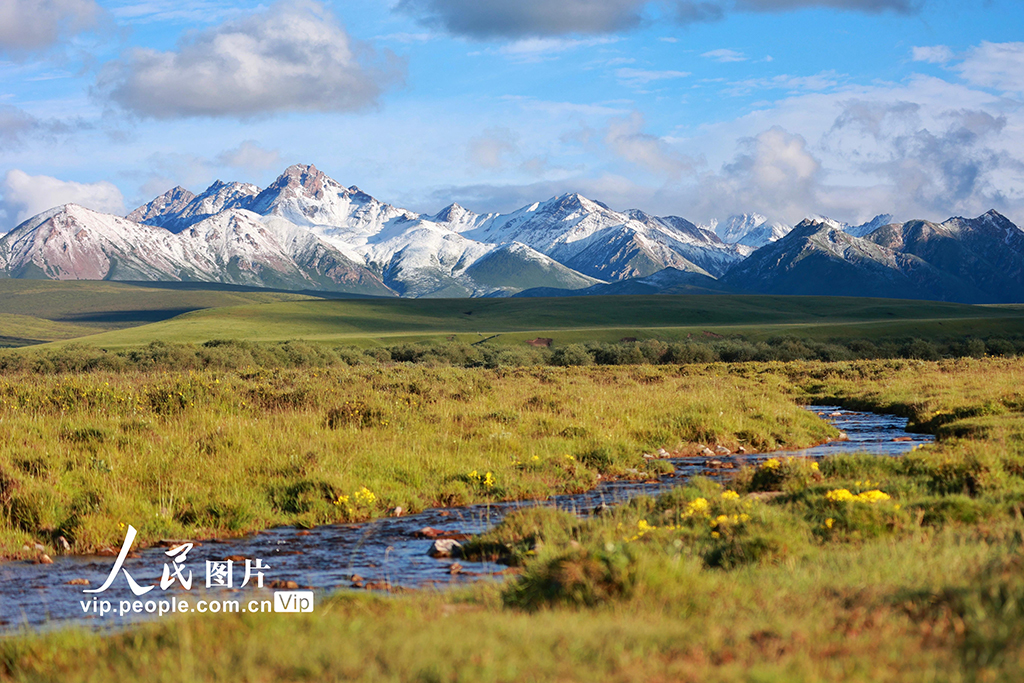 甘肅山丹馬場：雨后草原風(fēng)光如畫【3】