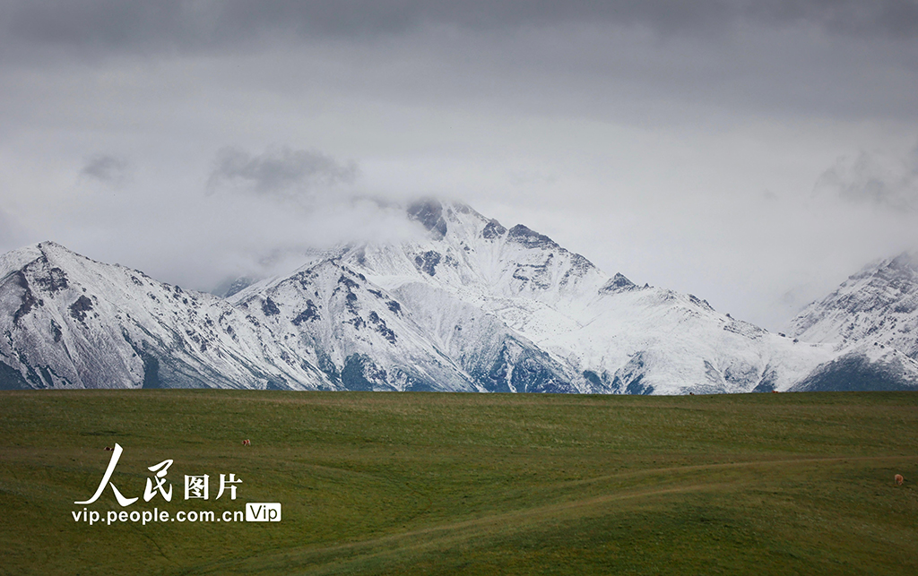 甘肅山丹馬場：雨后草原風(fēng)光如畫【8】