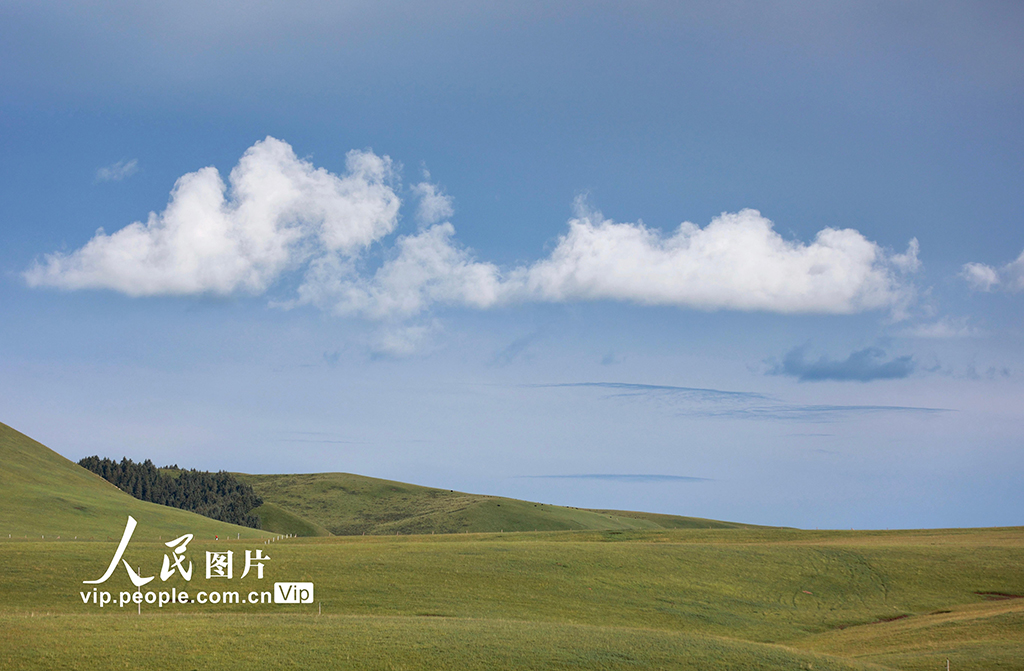 甘肅山丹馬場：雨后草原風(fēng)光如畫【10】