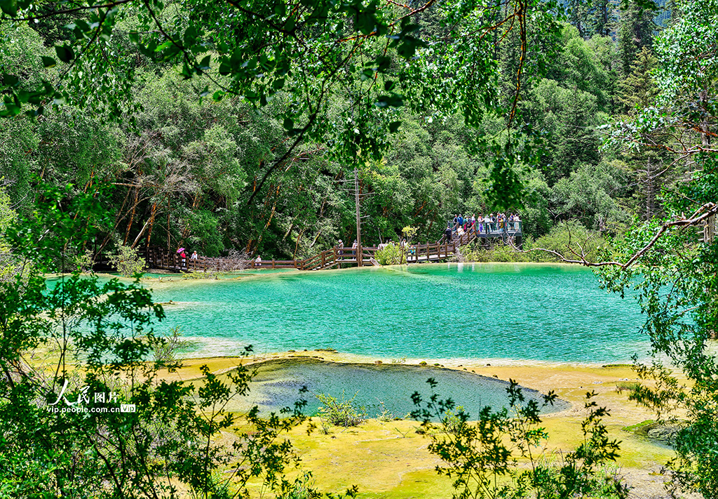 四川九寨溝：全域旅游發(fā)展形成新格局【4】