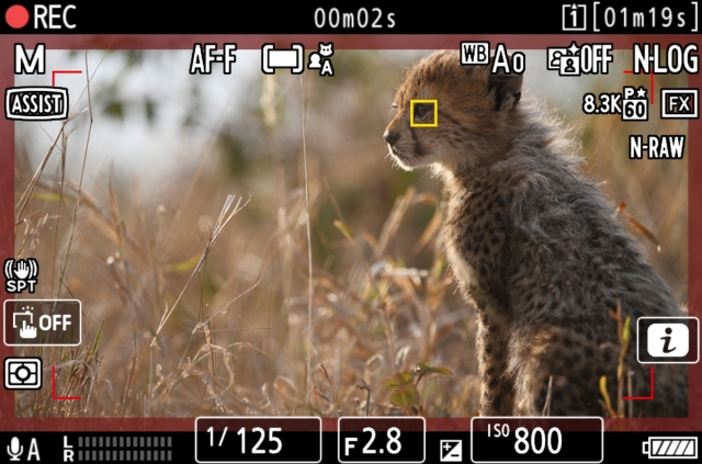 尼康發(fā)布截至2023年3月財(cái)年一季度財(cái)報(bào)