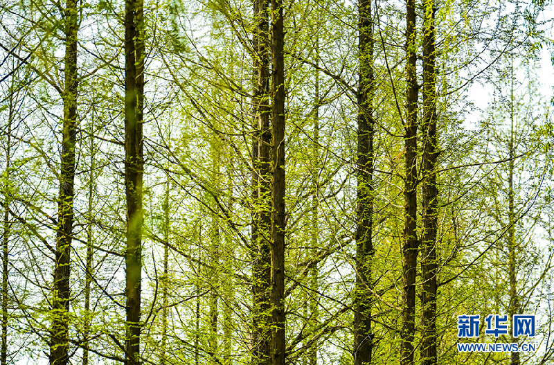 【光影輕課堂】如何運用線條增加攝影美感？