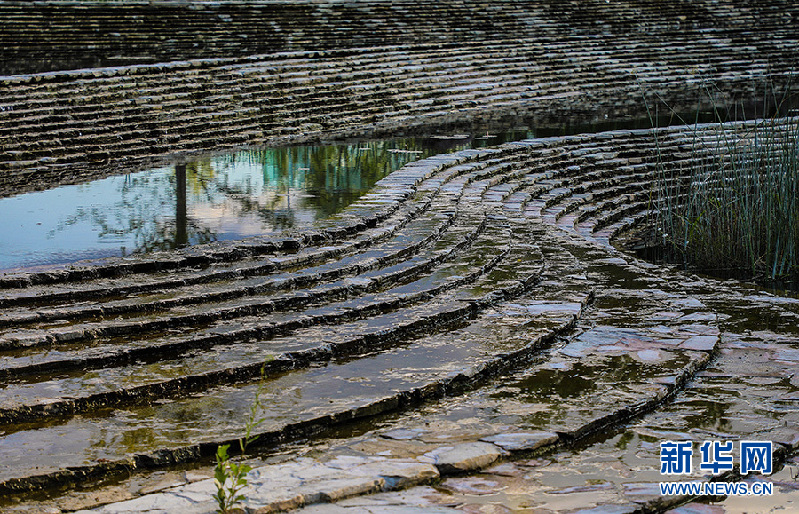 【光影輕課堂】如何運用線條增加攝影美感？