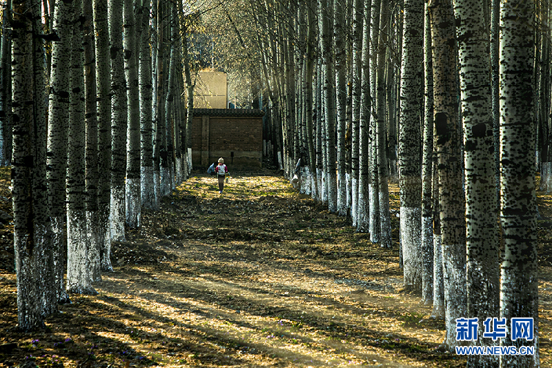 【光影輕課堂】如何運用線條增加攝影美感？