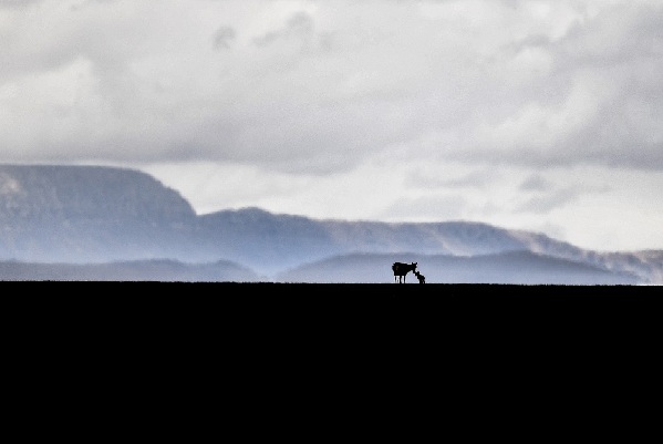 高原攝影詩(shī)人普布扎西 那人生最美好的時(shí)光