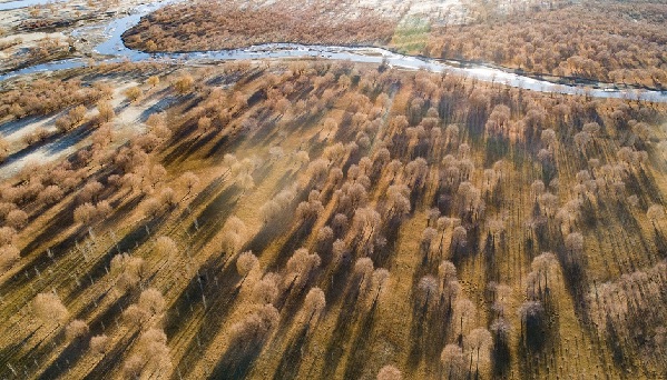 高原攝影詩(shī)人普布扎西 那人生最美好的時(shí)光