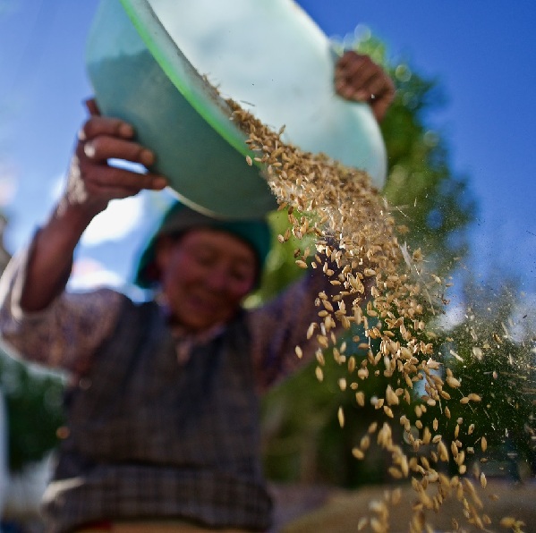 高原攝影詩(shī)人普布扎西 那人生最美好的時(shí)光