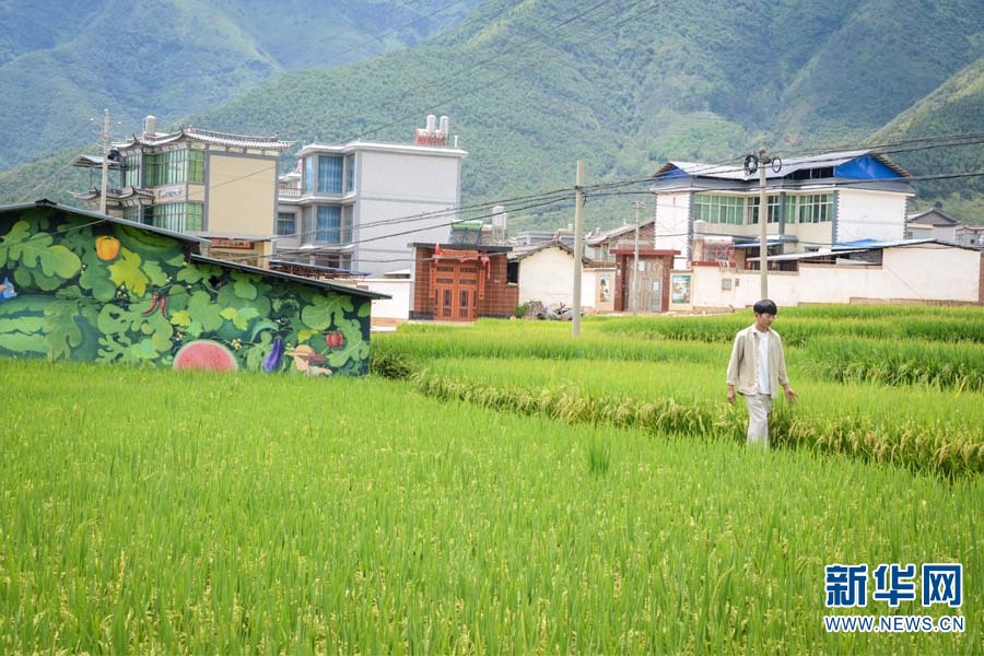 “95后”墻繪師回鄉(xiāng) 把村子畫成打卡點