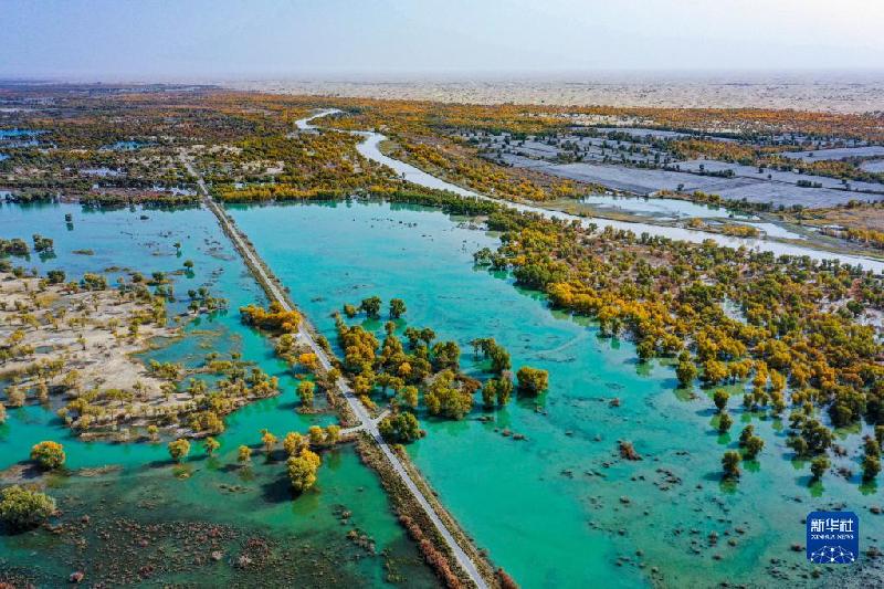 江河奔騰看中國丨塔里木河:沙漠中的綠色走廊