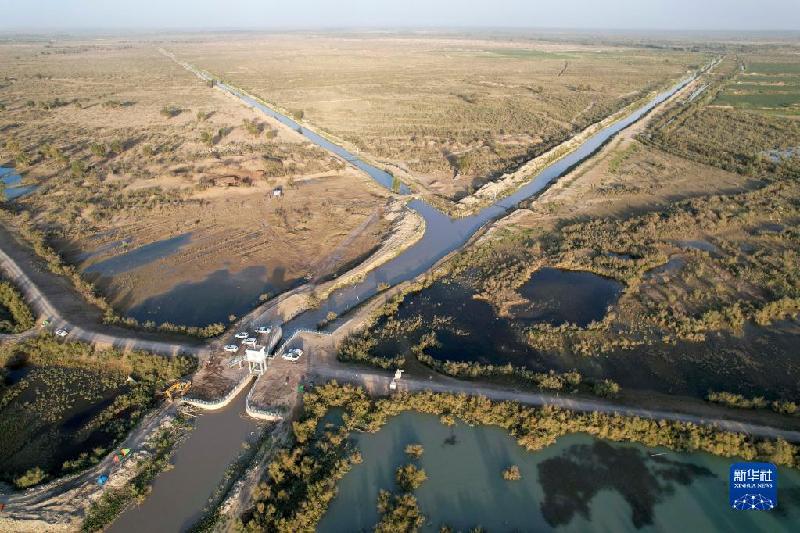 江河奔騰看中國丨塔里木河:沙漠中的綠色走廊