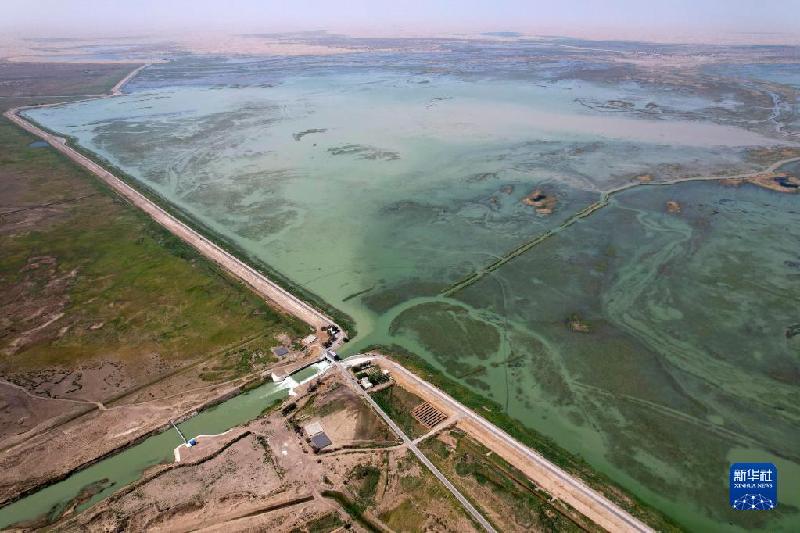 江河奔騰看中國丨塔里木河:沙漠中的綠色走廊