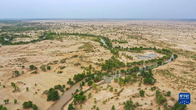 江河奔騰看中國丨塔里木河:沙漠中的綠色走廊