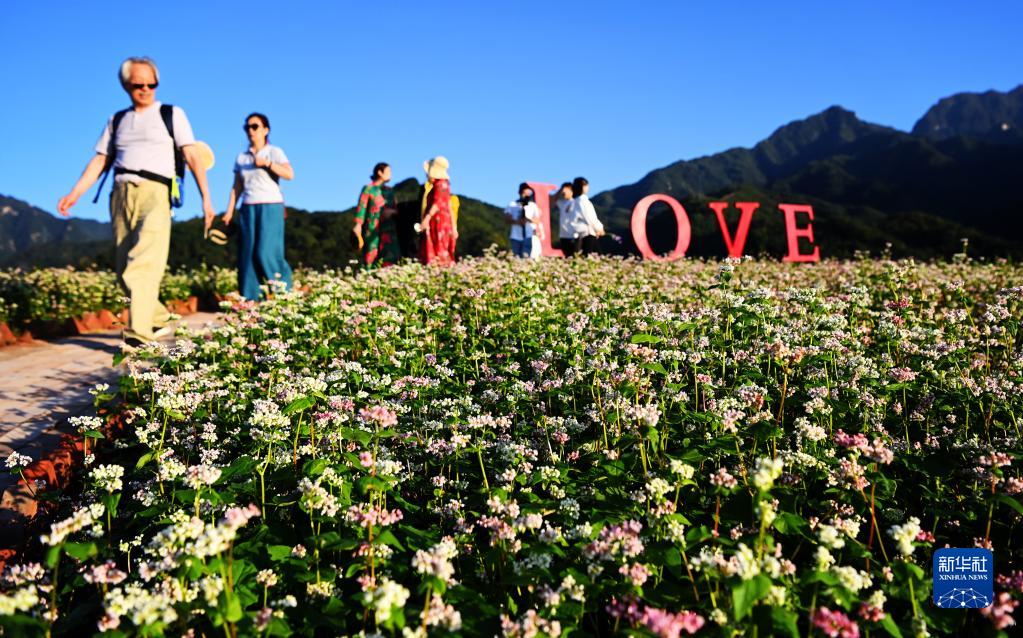 發(fā)展“農(nóng)業(yè)景區(qū)” 助力鄉(xiāng)村振興