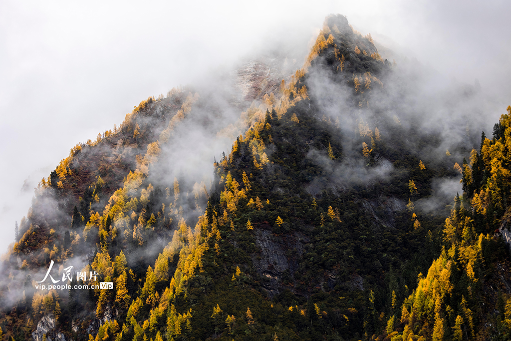 四姑娘山景區(qū)秋色如畫(huà)