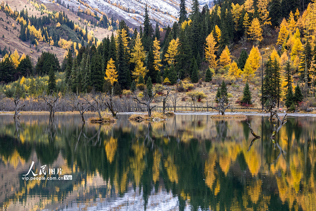 四姑娘山景區(qū)秋色如畫(huà)