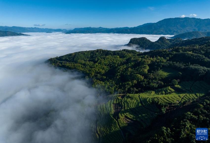 無(wú)人機(jī)航拍視角：云南臨滄蒼茫云海間