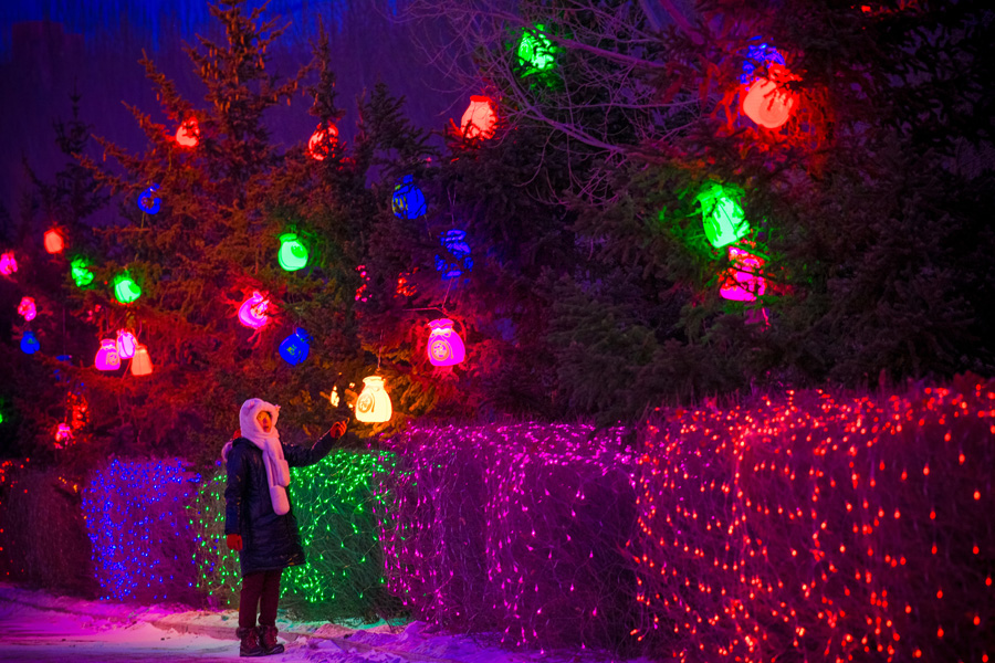 內(nèi)蒙古西烏旗：亮化迎新春 小鎮(zhèn)年味濃