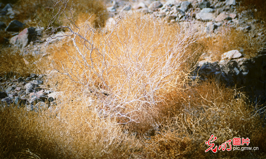 甘肅：探訪(fǎng)祁連山——高臺(tái)馬營(yíng)河大峽谷、小泉丹霞