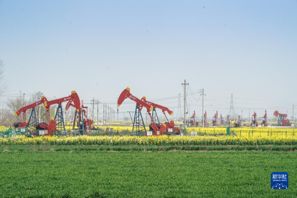 水鄉(xiāng)景色美