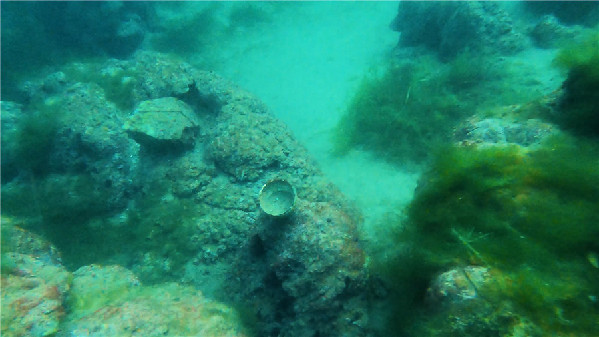 跟著水下無(wú)人機(jī)“探秘”云南撫仙湖！