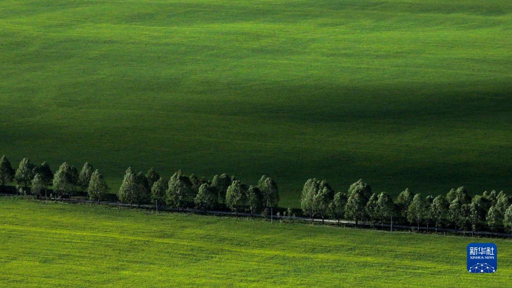 美麗中國丨祁連山之夏
