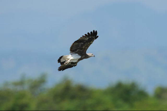 索尼發(fā)布APS-C畫幅微單 Alpha 6700及數(shù)字音頻麥克風(fēng)ECM-M1