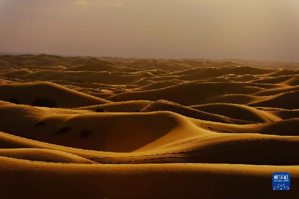 庫布其沙漠風(fēng)光美