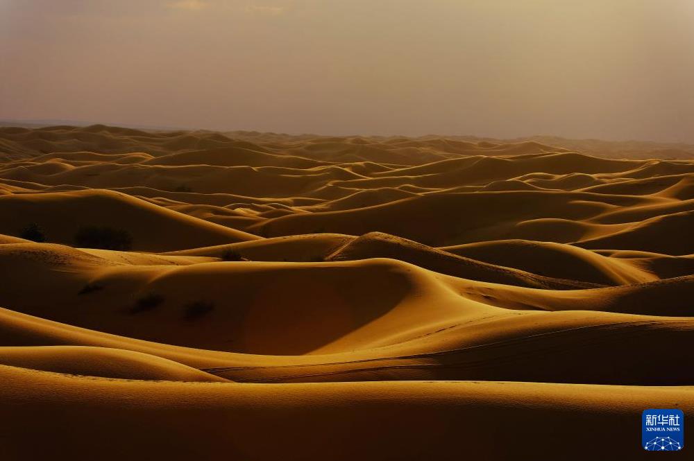 庫布其沙漠風(fēng)光美