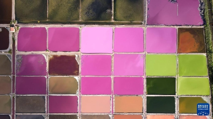 無人機航拍鹽田