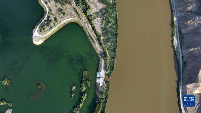 新華全媒+|沙水交融 魅力沙坡頭