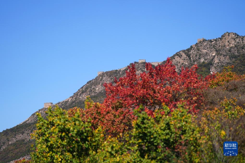 美麗中國丨司馬臺長城秋色