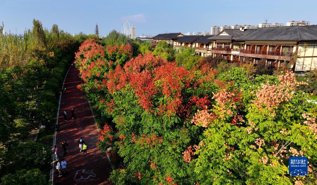 美麗中國丨陜西:灃河秋景勝春朝