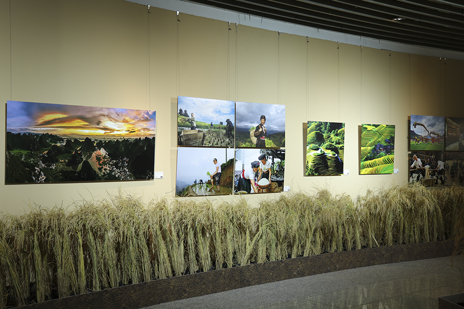 北京國(guó)際攝影周2023開(kāi)幕