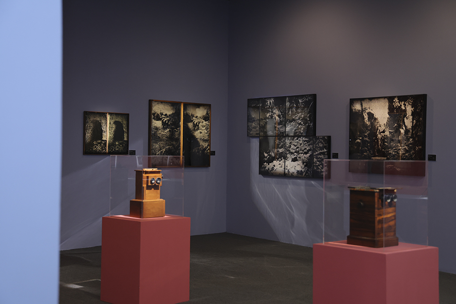 北京國(guó)際攝影周2023開(kāi)幕