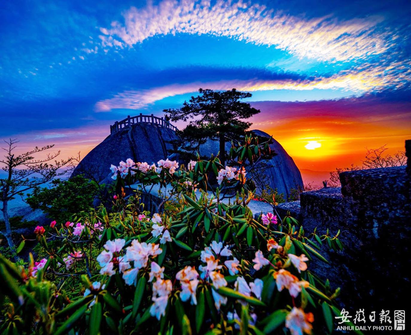 指尖上的視界——“天柱山”全國(guó)攝影和短視頻大賽等您參賽