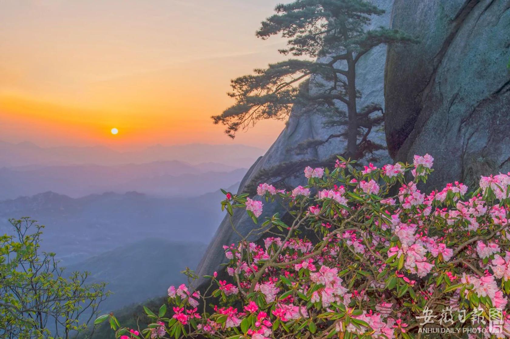 指尖上的視界——“天柱山”全國(guó)攝影和短視頻大賽等您參賽