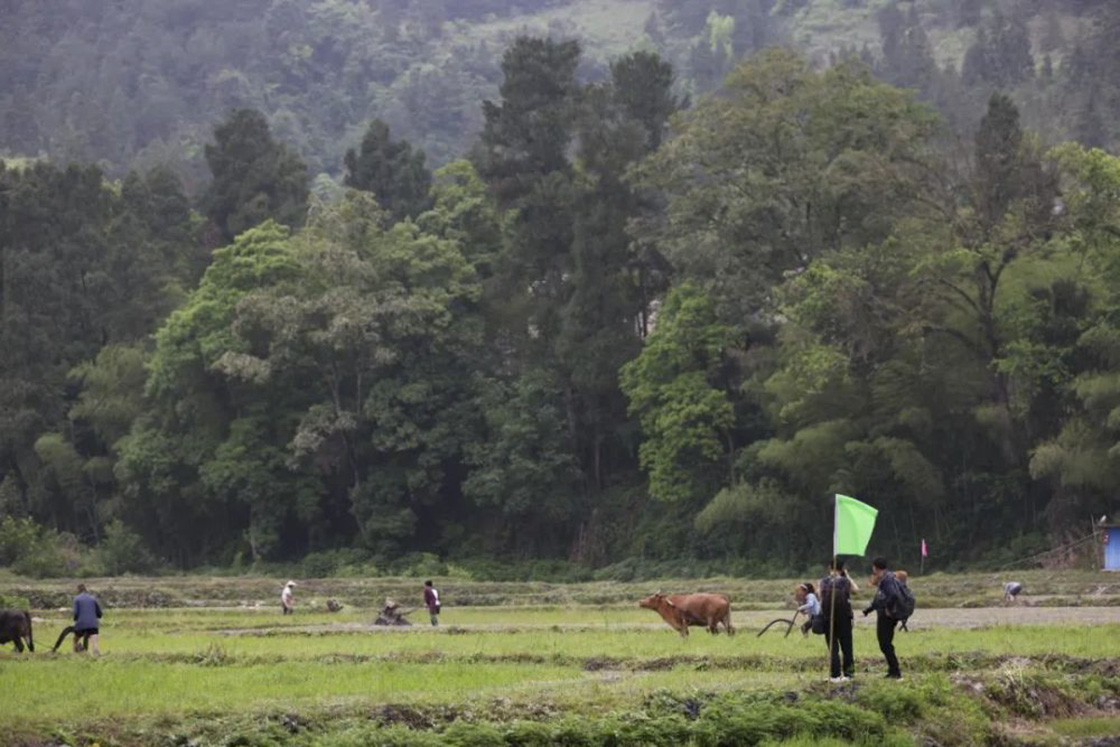2024年新華社貴州分社舉行簽約攝影師走進“古韻思州·稻香岑鞏”助力鄉(xiāng)村振興宣傳活動